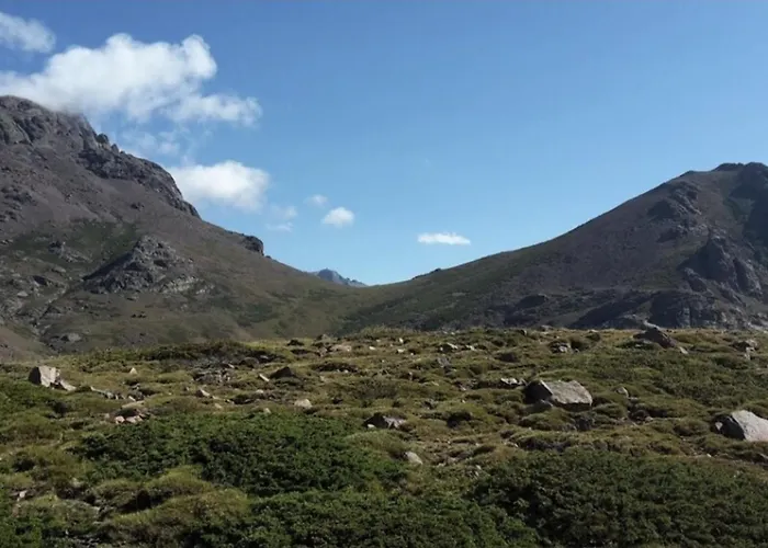 Hébergement de vacances Les Balcons De La Chiusa Vico