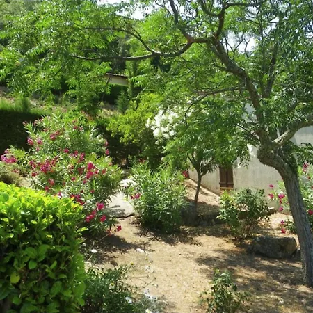 Les Balcons De La Chiusa Holiday home Vico